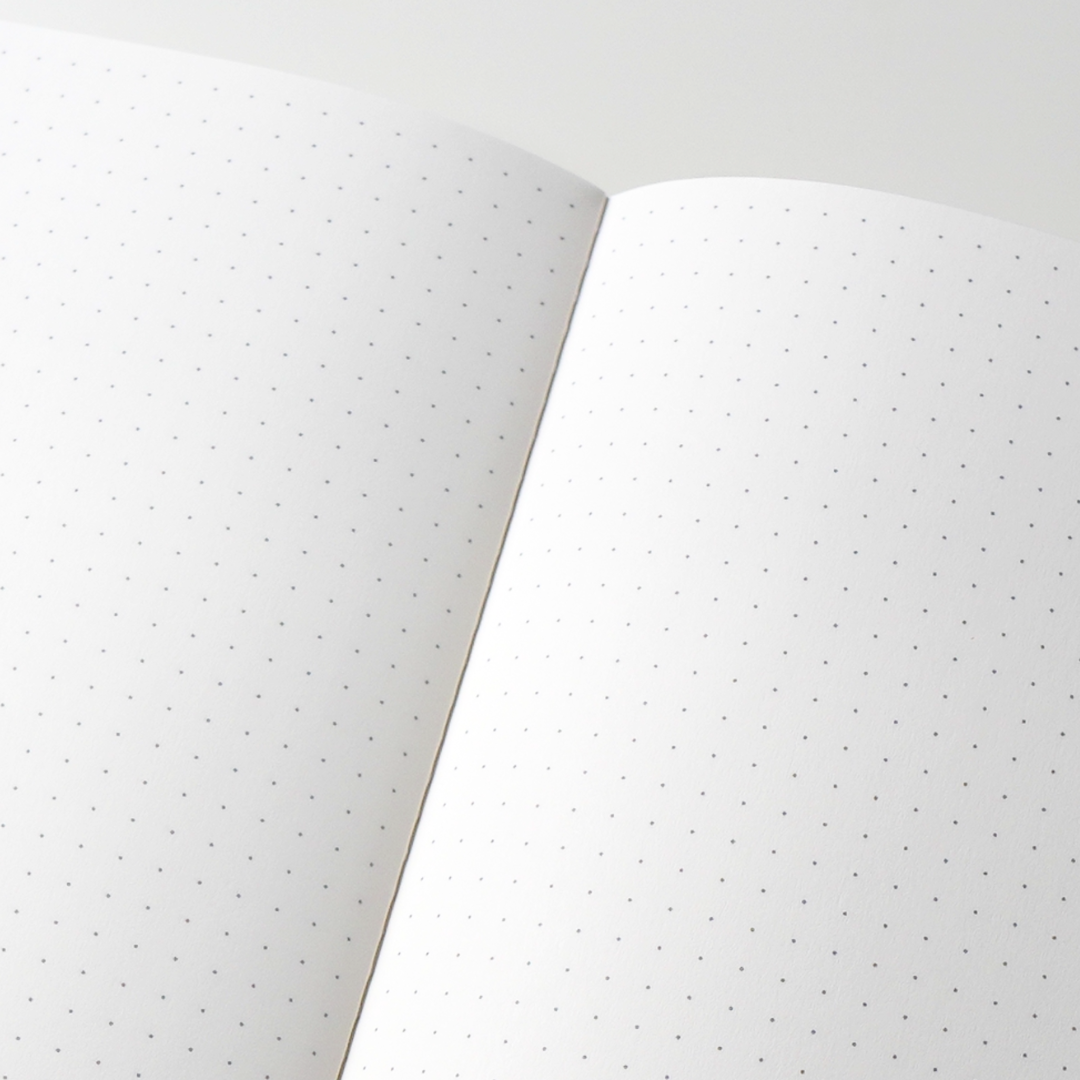 Tomoe River Notebooks TN