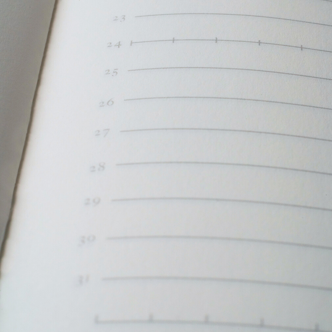 Tomoe River A5 Notebooks
