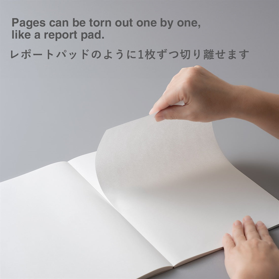 EDit Notebook