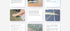 Scattered images and text on a white background