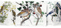 Set of four bird-themed field notebooks with illustrations on the covers.