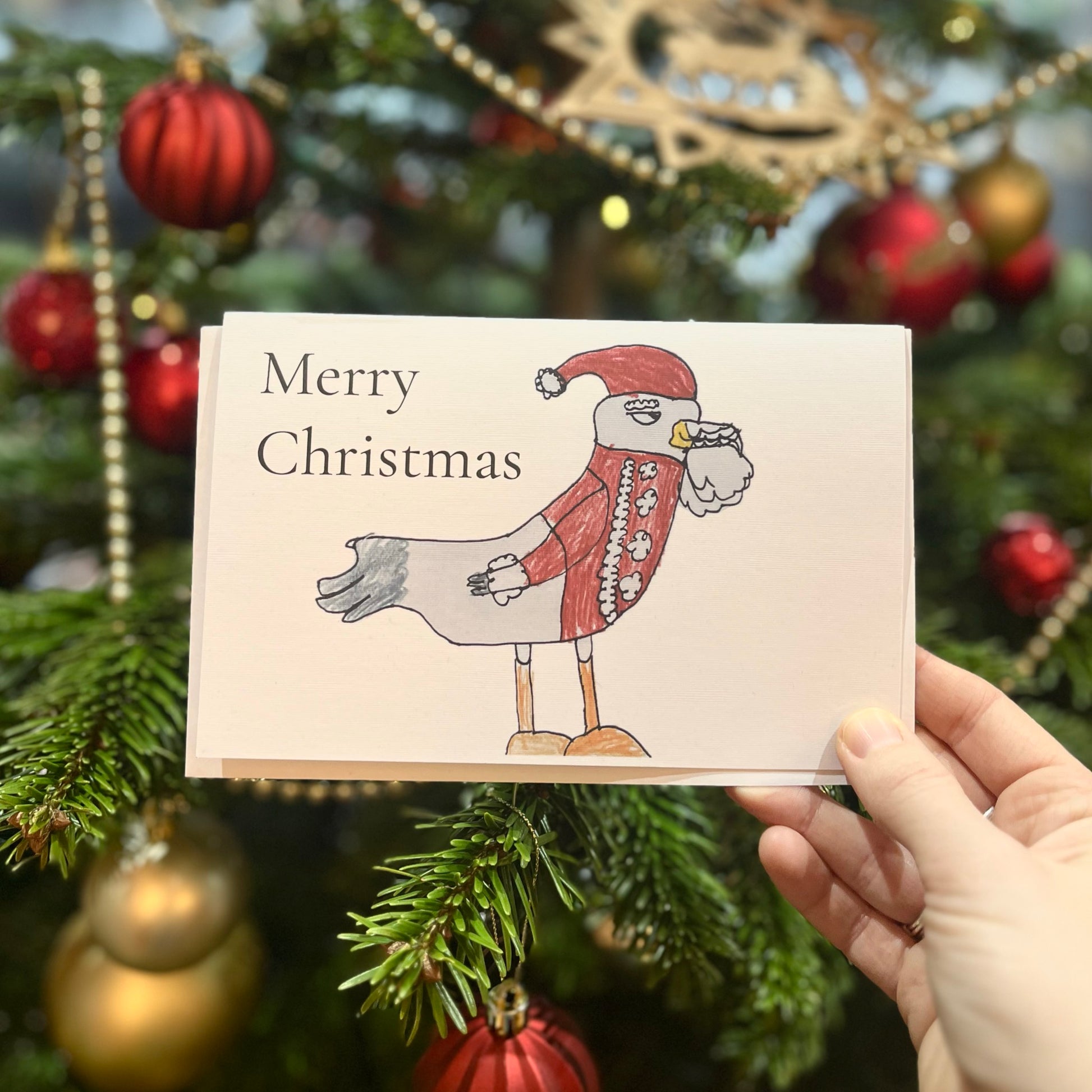 Santa Gull