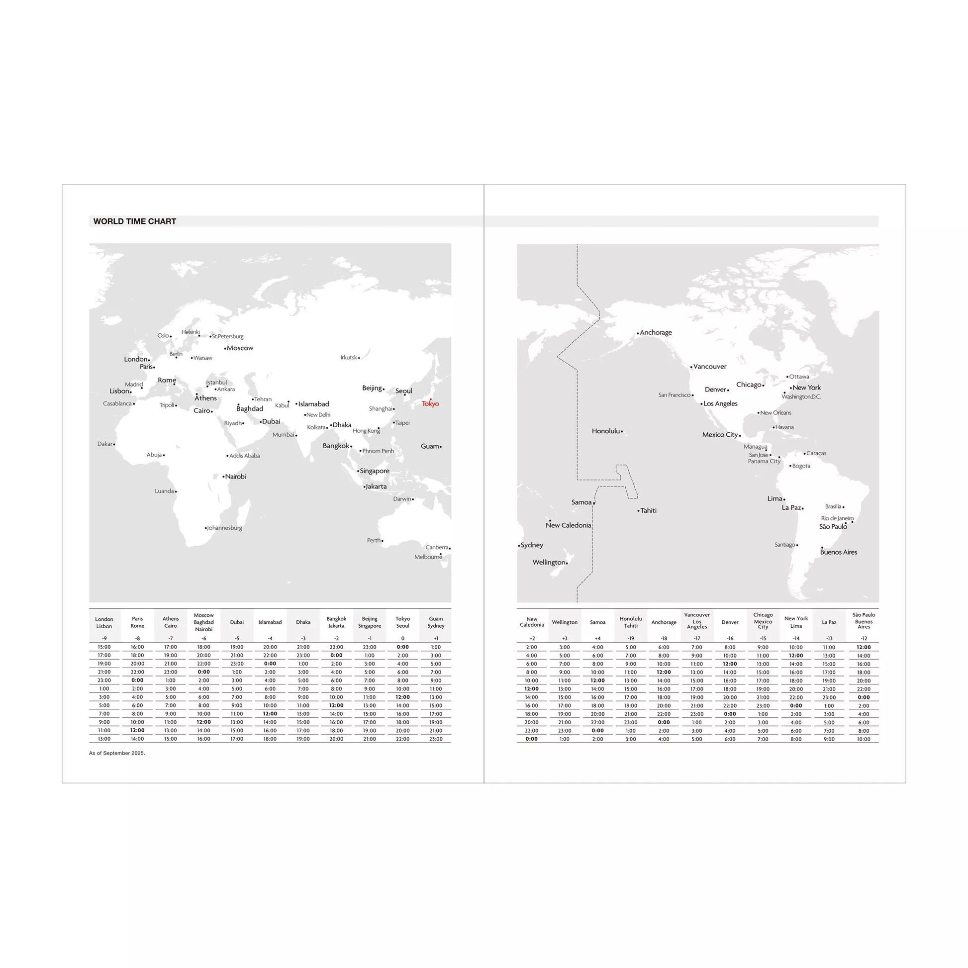 World map with time zones on a white background