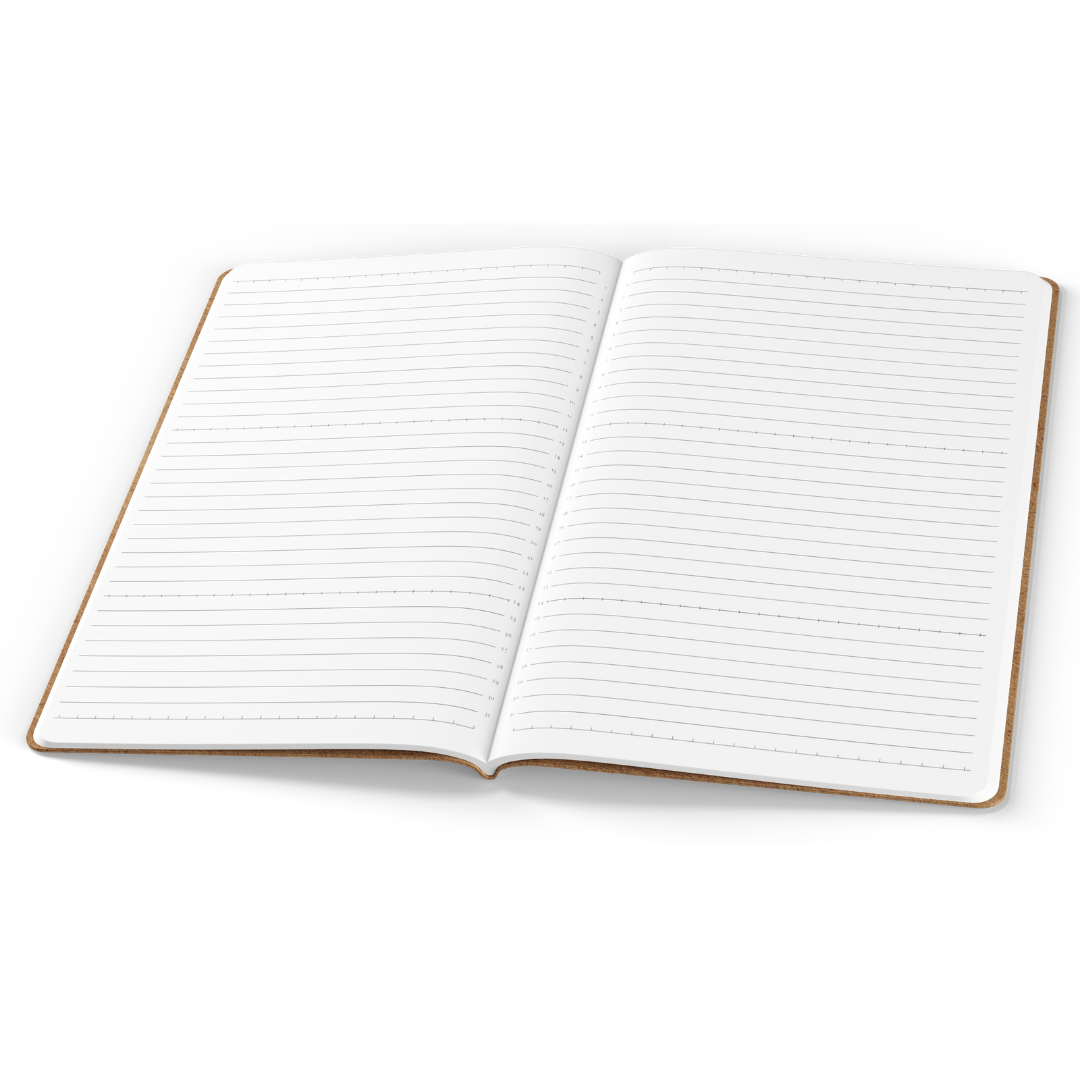 Tomoe River A5 Notebooks