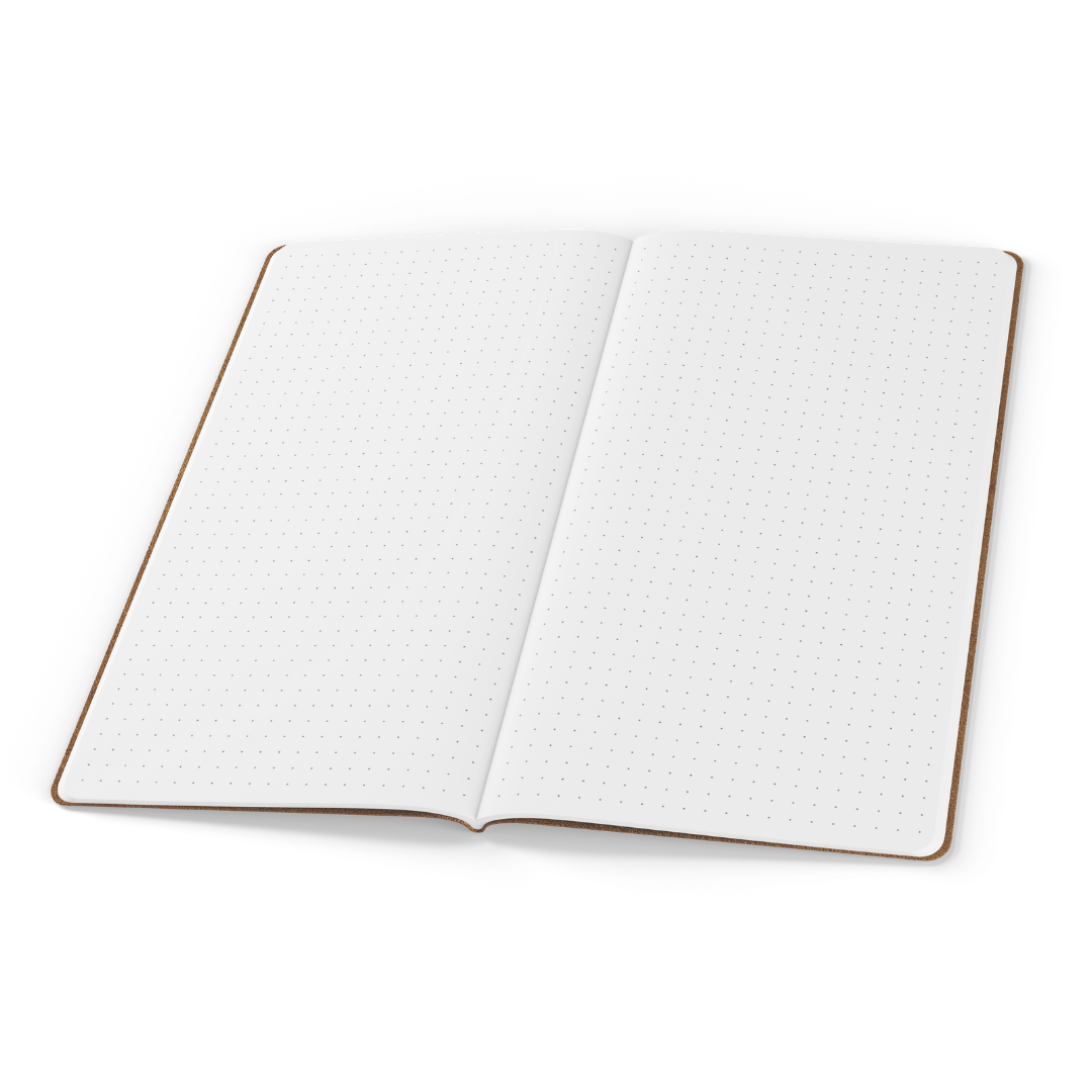 Tomoe River Notebooks TN