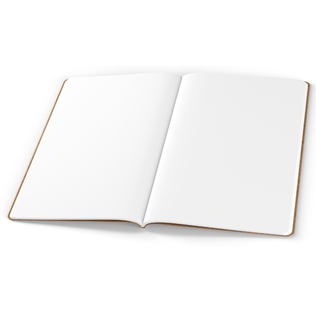 Tomoe River A5 Notebooks