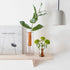 Large Reversible Glass Vase