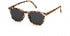 IZIPIZI Sunglasses E - Blue Tortoise